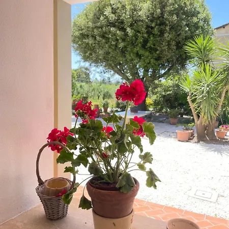 Il Leccio Appartamento Fiorino