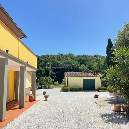Il Leccio