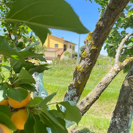 Il Leccio Appartamento