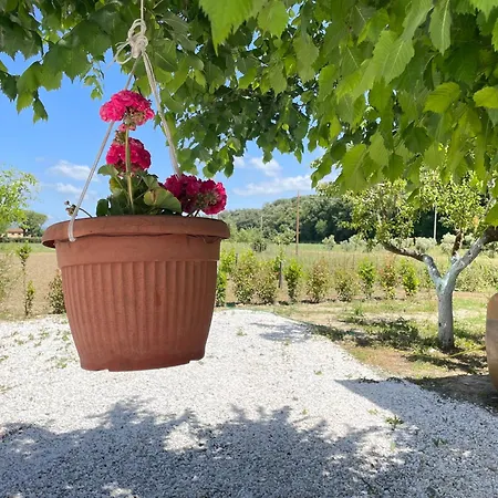 Il Leccio Appartamento