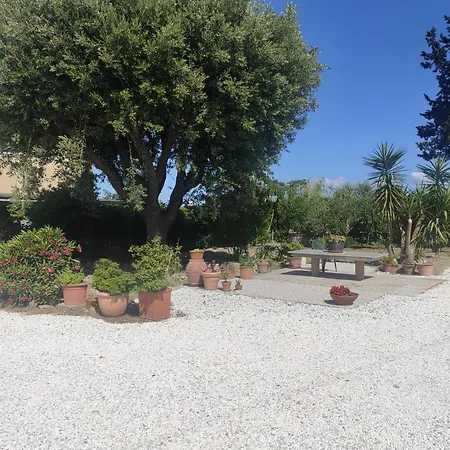 Il Leccio 公寓 *