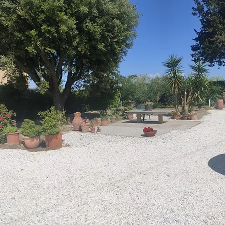 Il Leccio Appartamento *