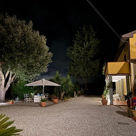 Il Leccio