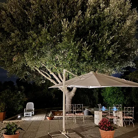 Appartamento Il Leccio *